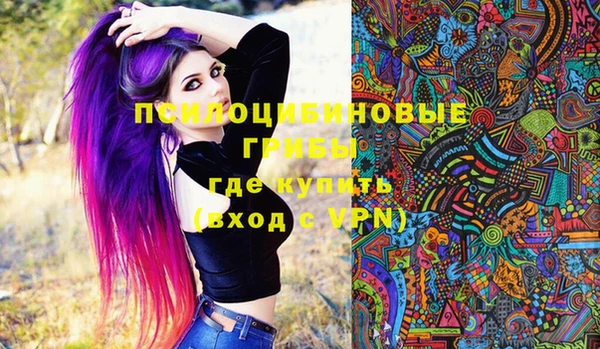 шишки Армянск