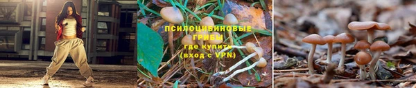 метамфетамин Белокуриха