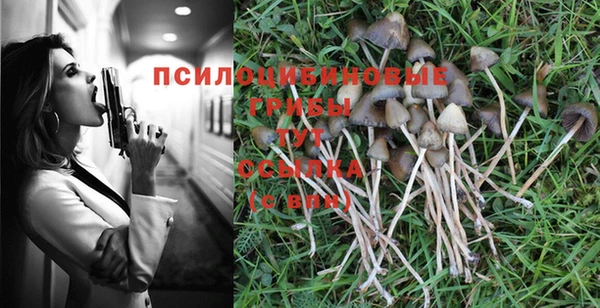 марки lsd Аркадак