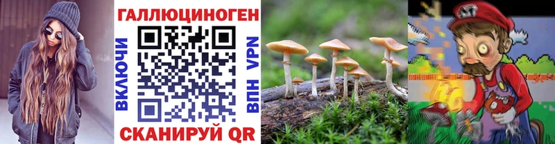 Псилоцибиновые грибы GOLDEN TEACHER Купить закладки Сафоново
